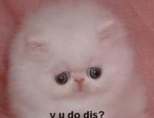 Everytime you fake it, a kitten dies